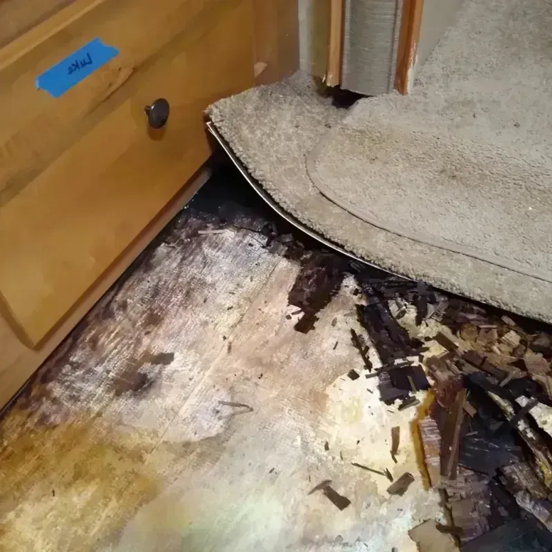 Wood Floor Water Damage in Seeley, CA